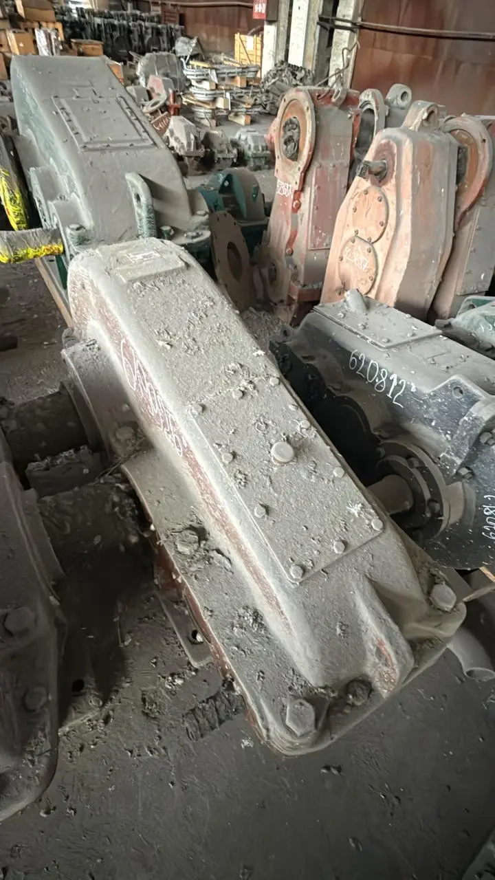 Тор трусикидегі бөксе Қыздар кискаларын өлшейді