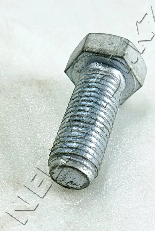 Porn Picture